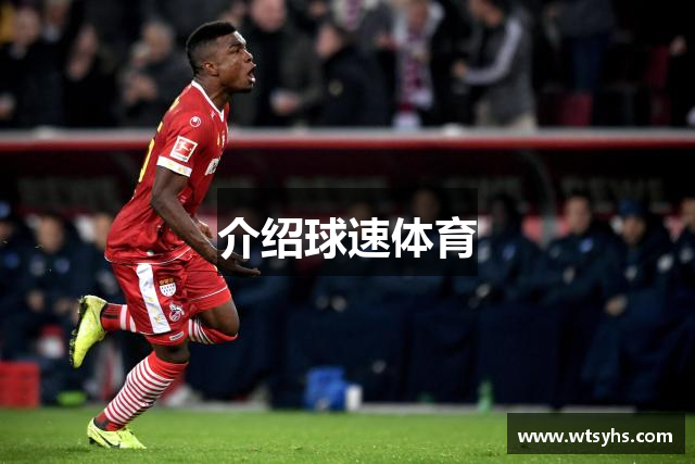 介绍球速体育